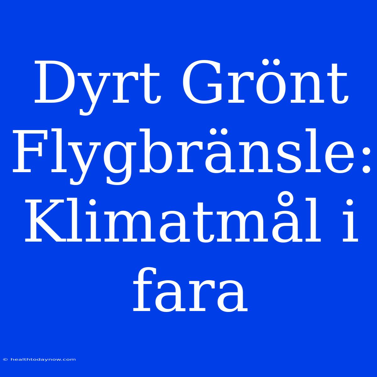 Dyrt Grönt Flygbränsle: Klimatmål I Fara