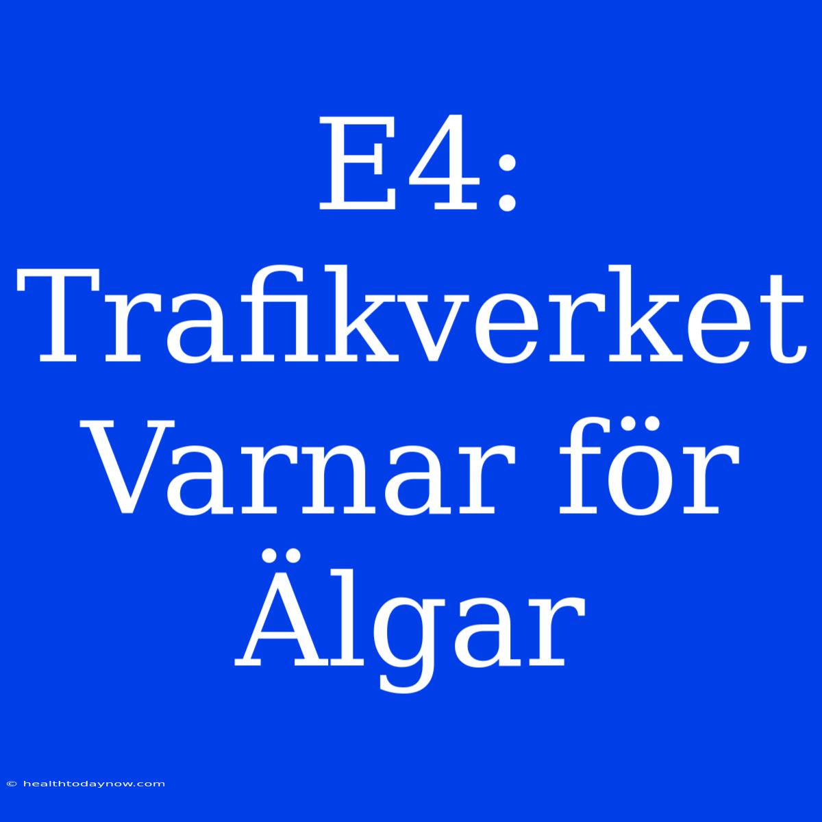 E4: Trafikverket Varnar För Älgar