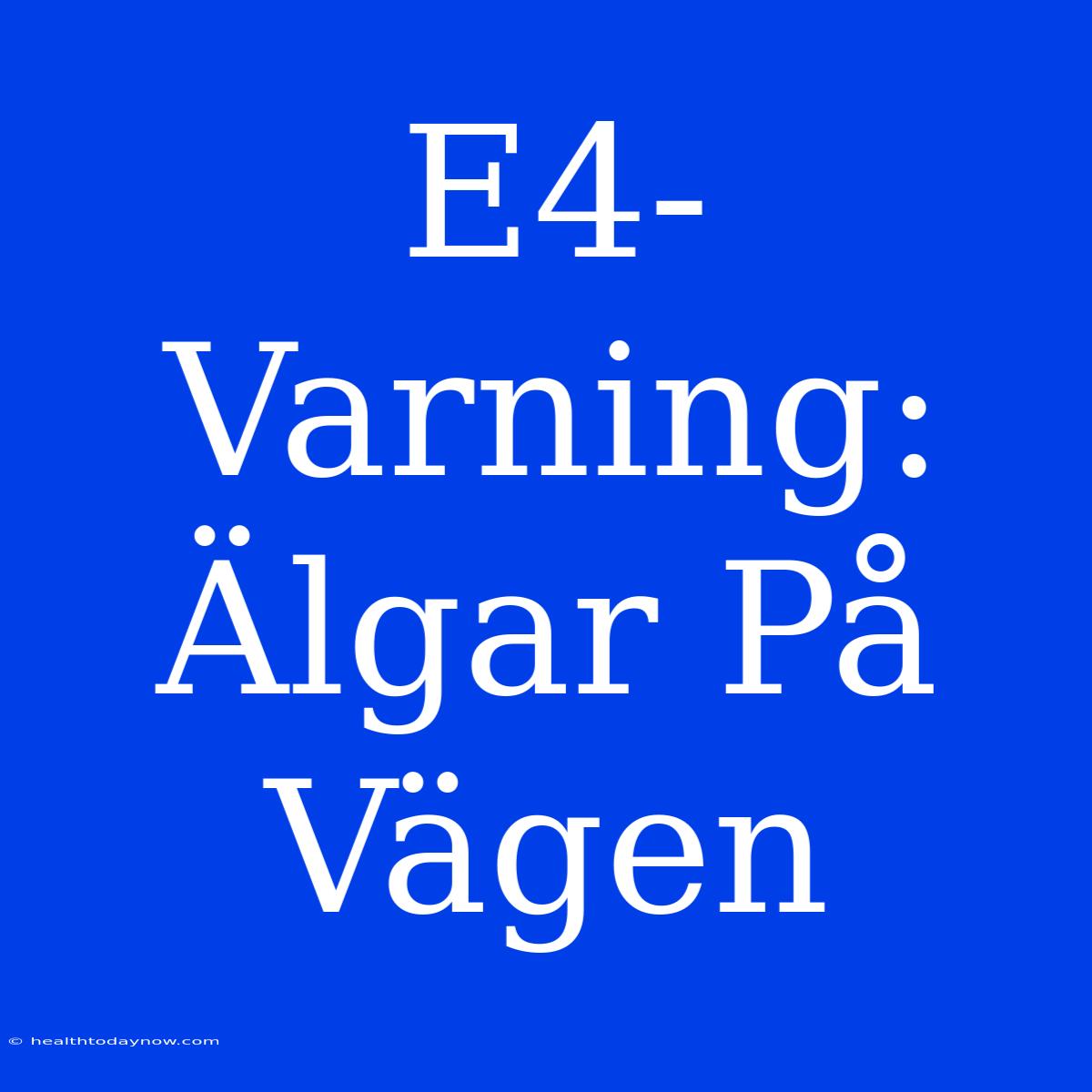 E4-Varning: Älgar På Vägen