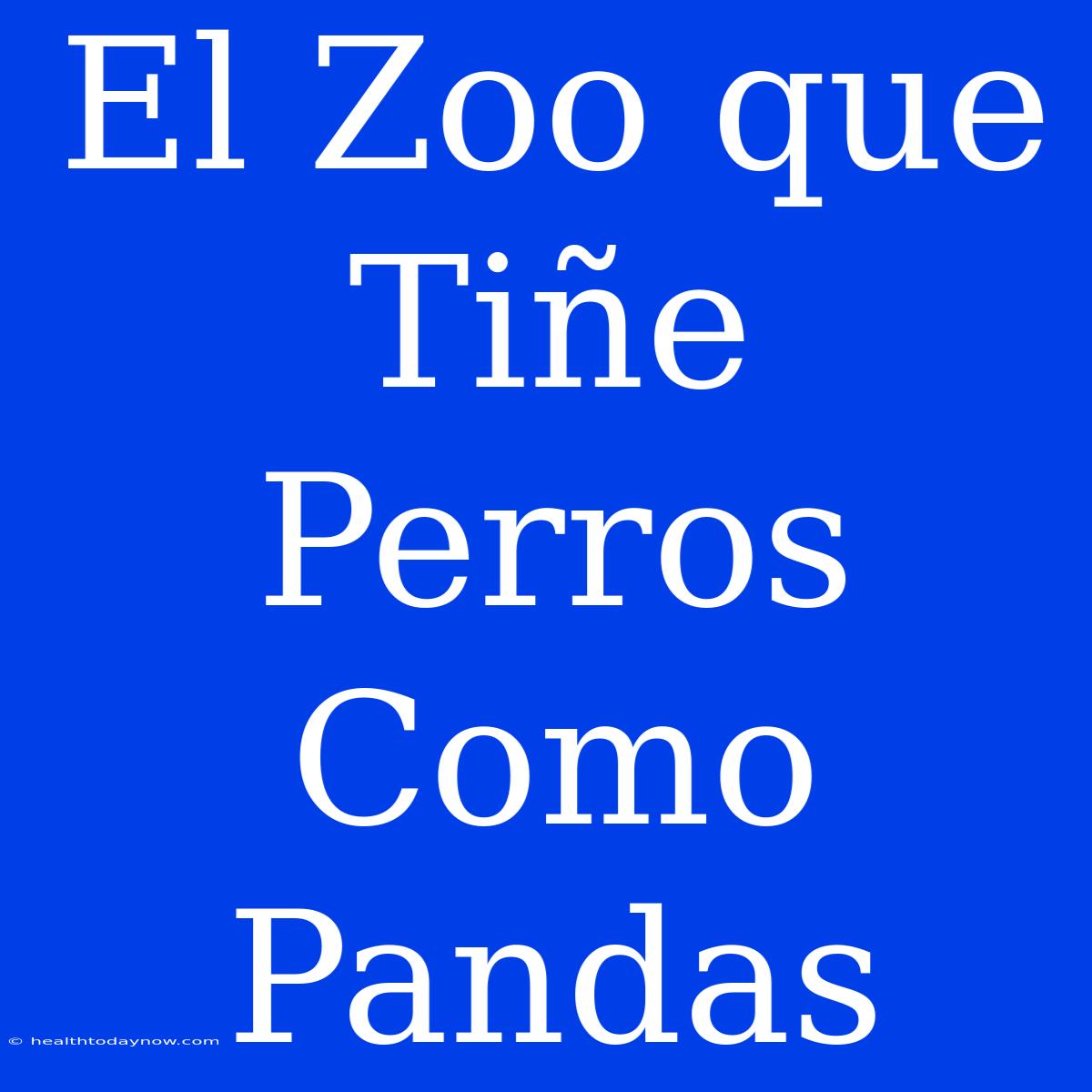 El Zoo Que Tiñe Perros Como Pandas 