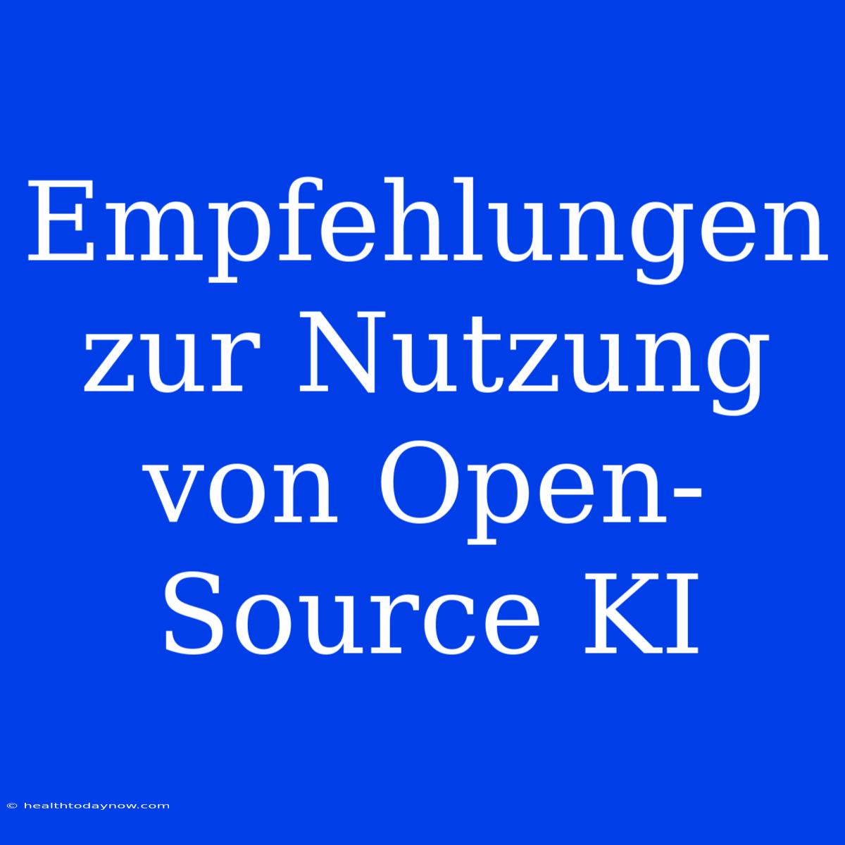 Empfehlungen Zur Nutzung Von Open-Source KI