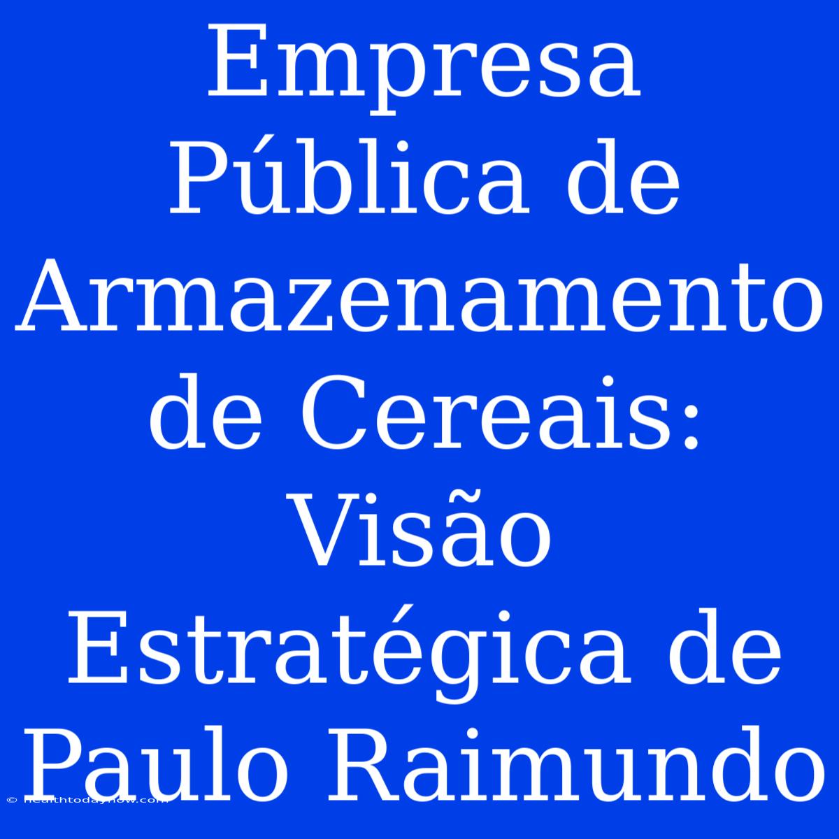 Empresa Pública De Armazenamento De Cereais: Visão Estratégica De Paulo Raimundo