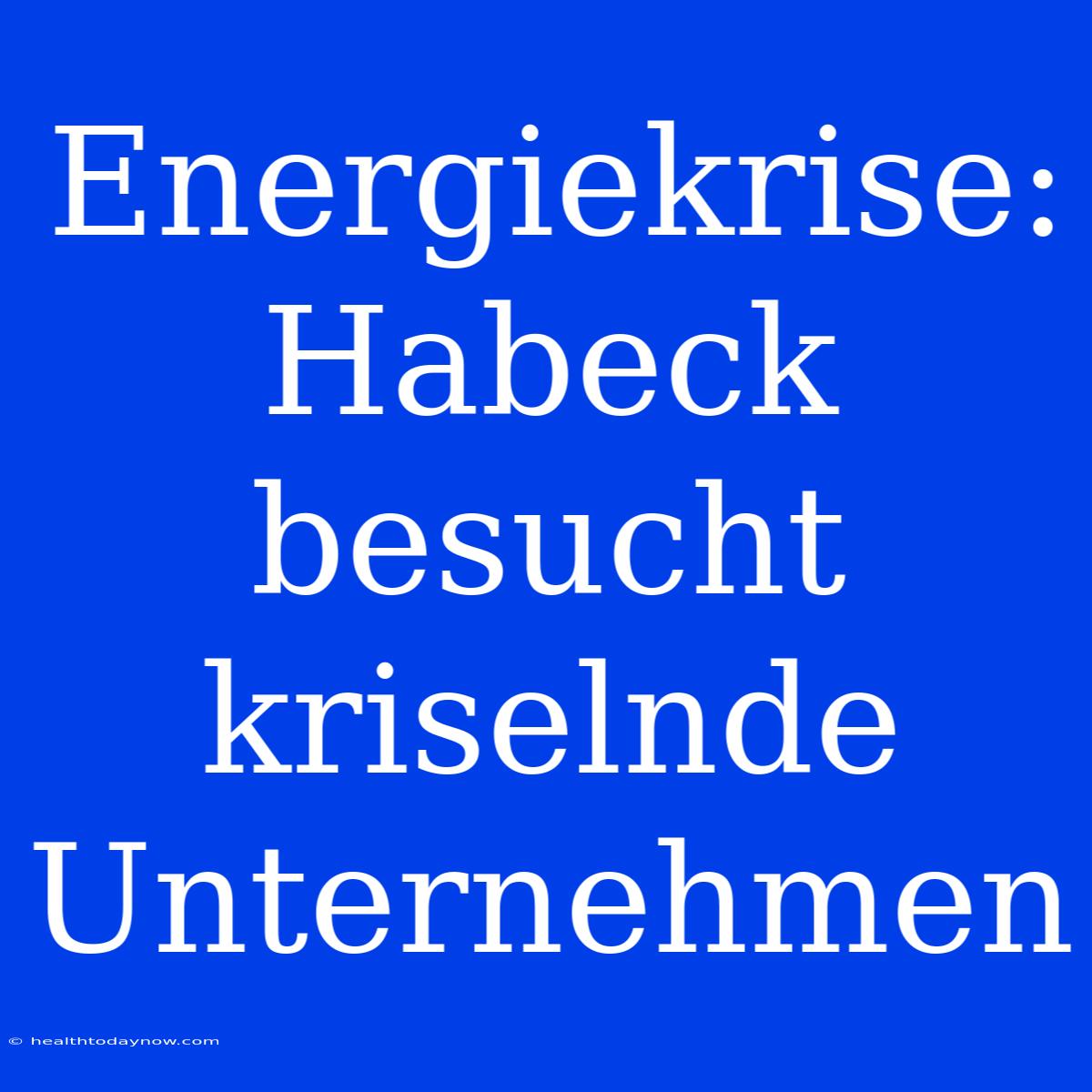 Energiekrise: Habeck Besucht Kriselnde Unternehmen