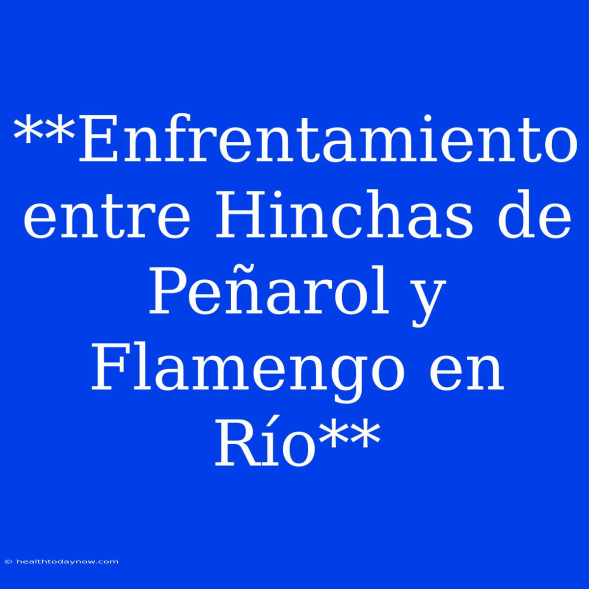 **Enfrentamiento Entre Hinchas De Peñarol Y Flamengo En Río**