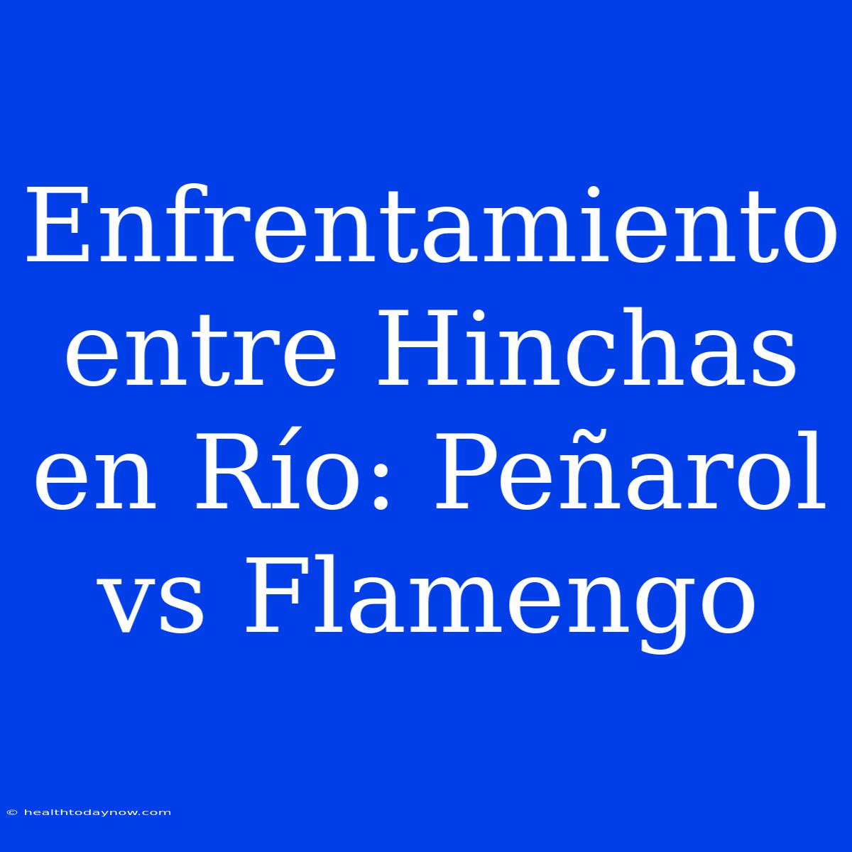 Enfrentamiento Entre Hinchas En Río: Peñarol Vs Flamengo