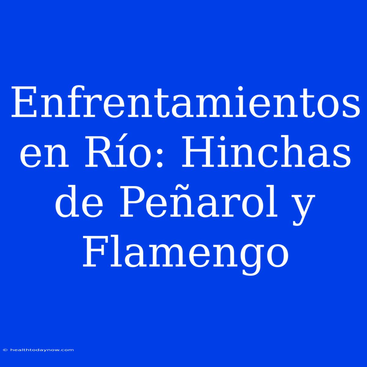 Enfrentamientos En Río: Hinchas De Peñarol Y Flamengo