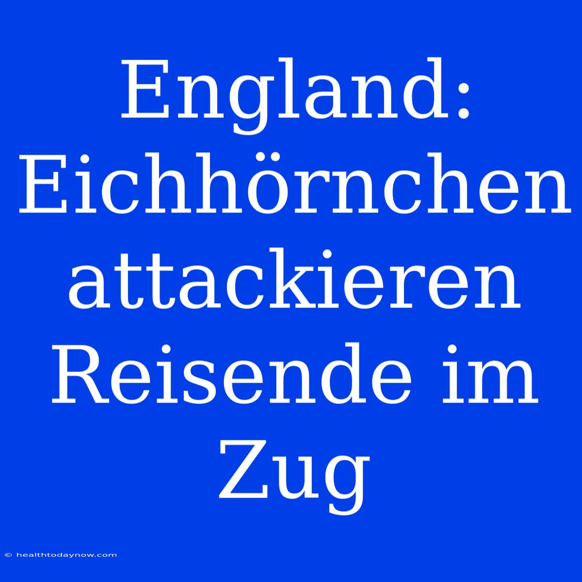 England: Eichhörnchen Attackieren Reisende Im Zug