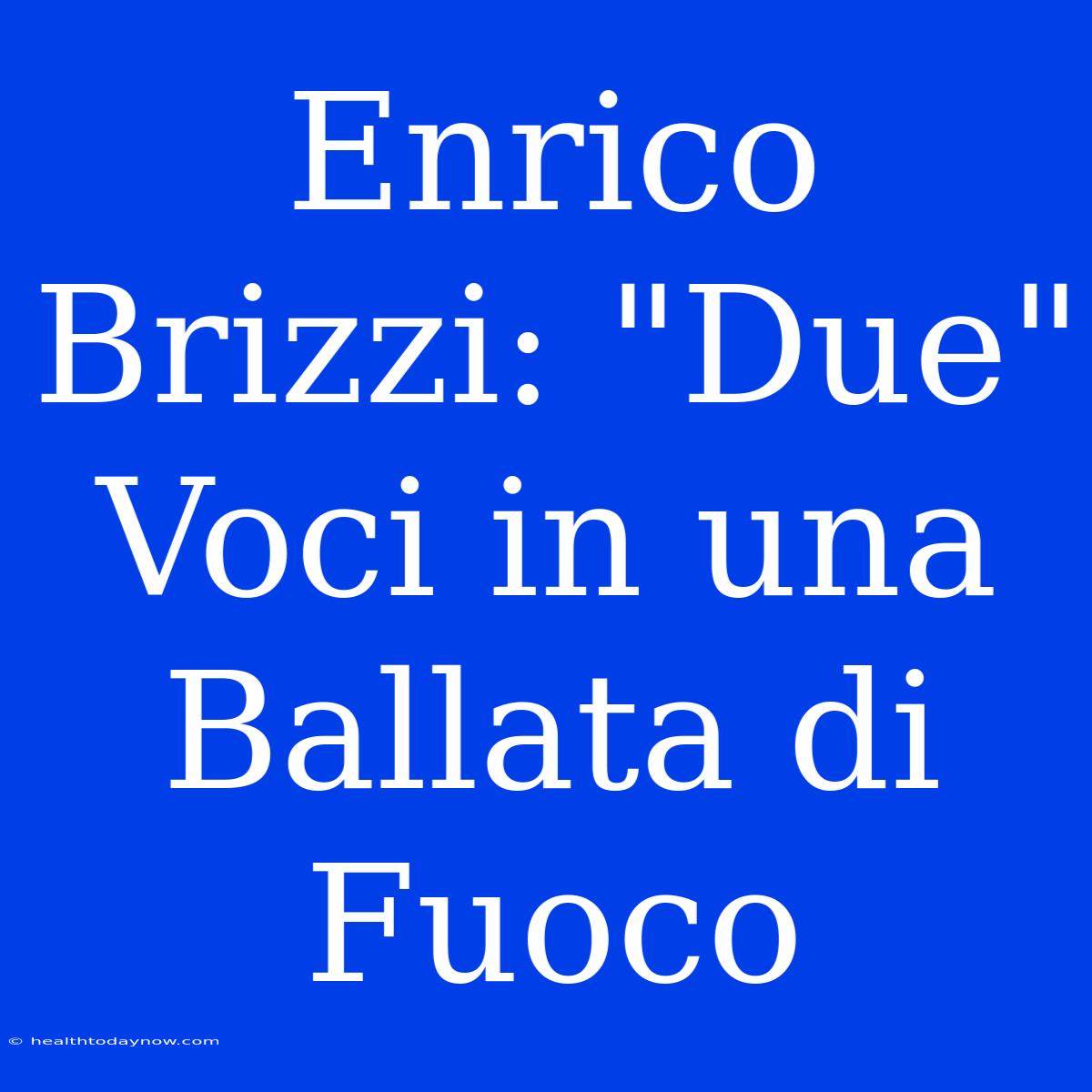 Enrico Brizzi: 