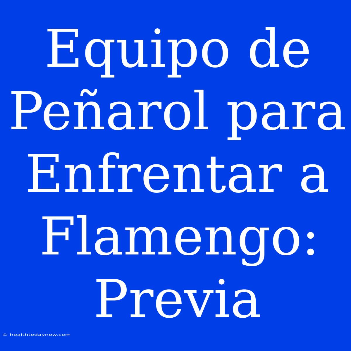 Equipo De Peñarol Para Enfrentar A Flamengo: Previa