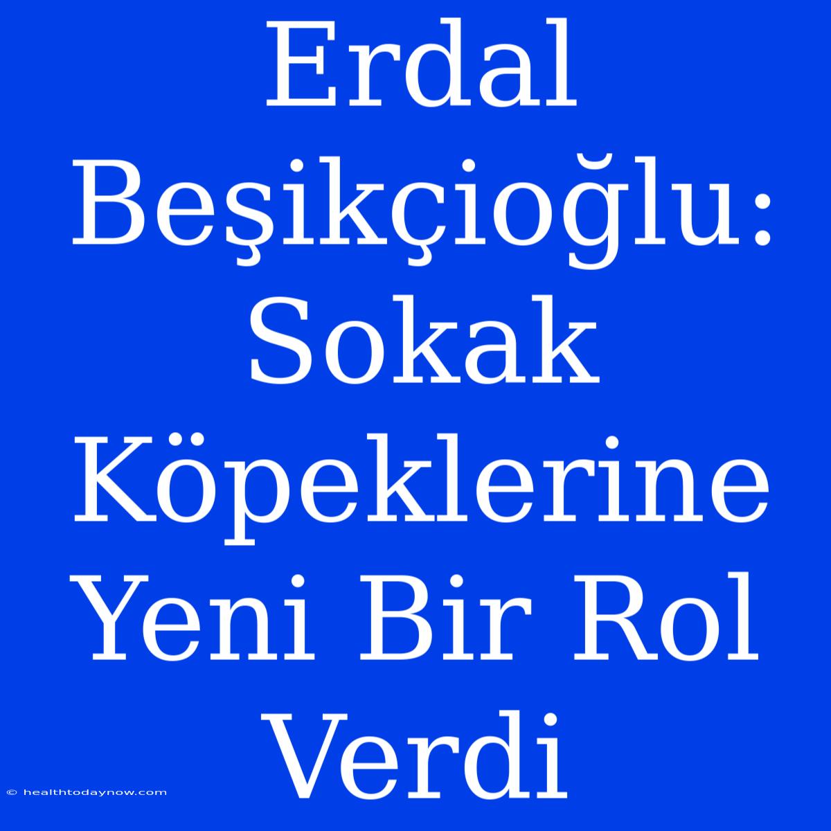 Erdal Beşikçioğlu: Sokak Köpeklerine Yeni Bir Rol Verdi