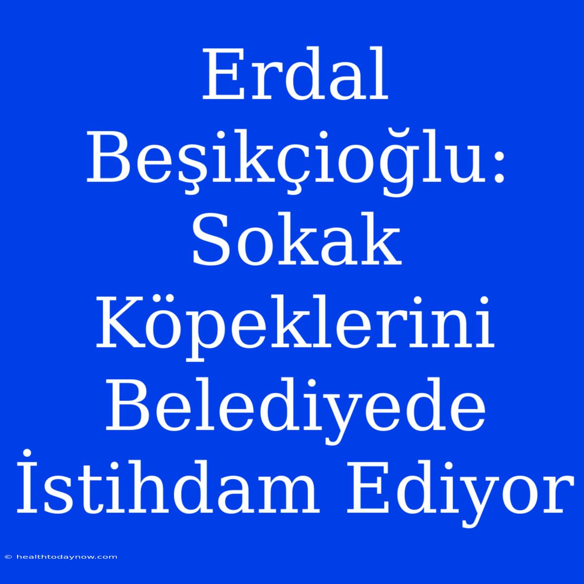 Erdal Beşikçioğlu: Sokak Köpeklerini Belediyede İstihdam Ediyor