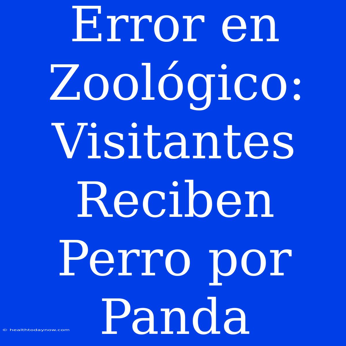 Error En Zoológico: Visitantes Reciben Perro Por Panda