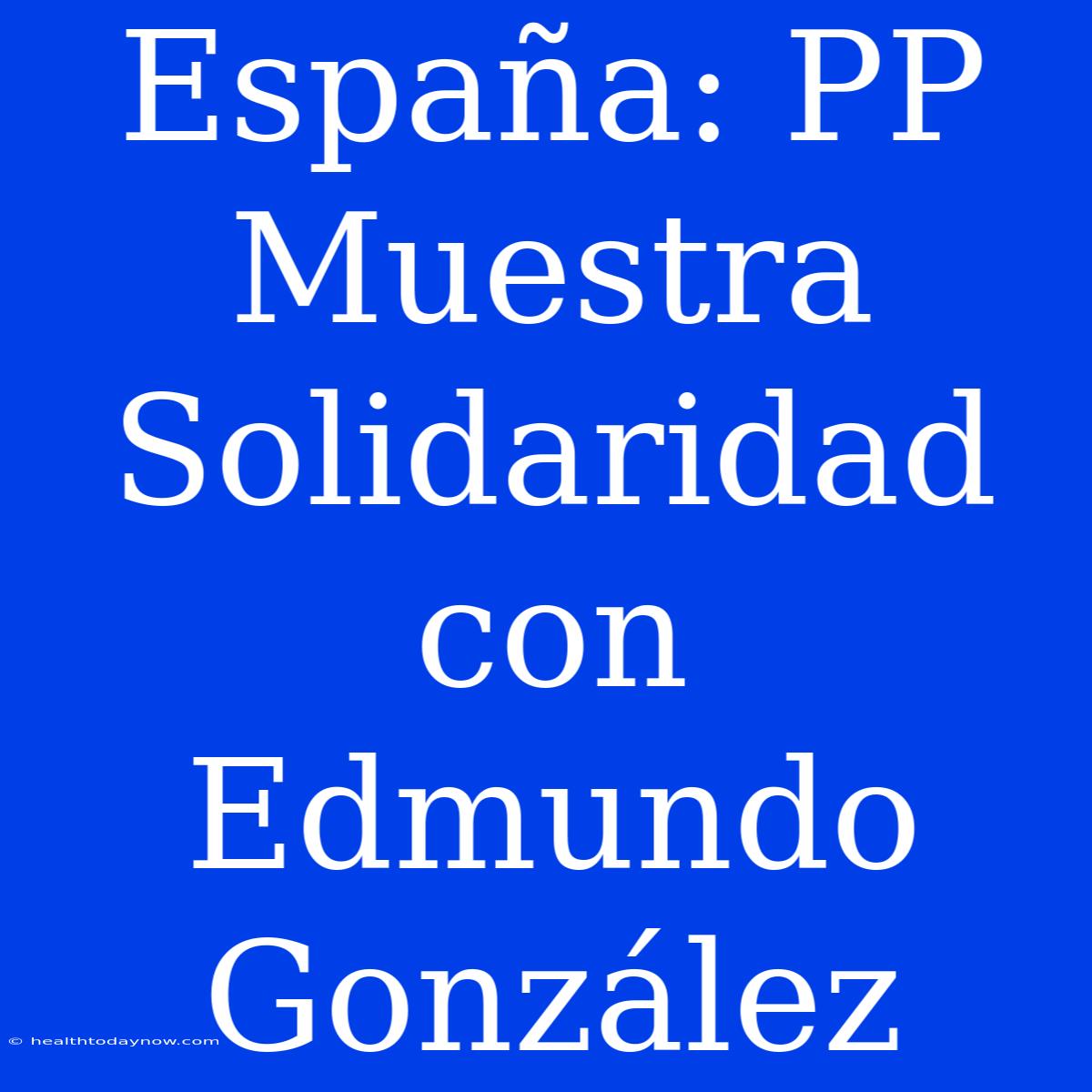 España: PP Muestra Solidaridad Con Edmundo González