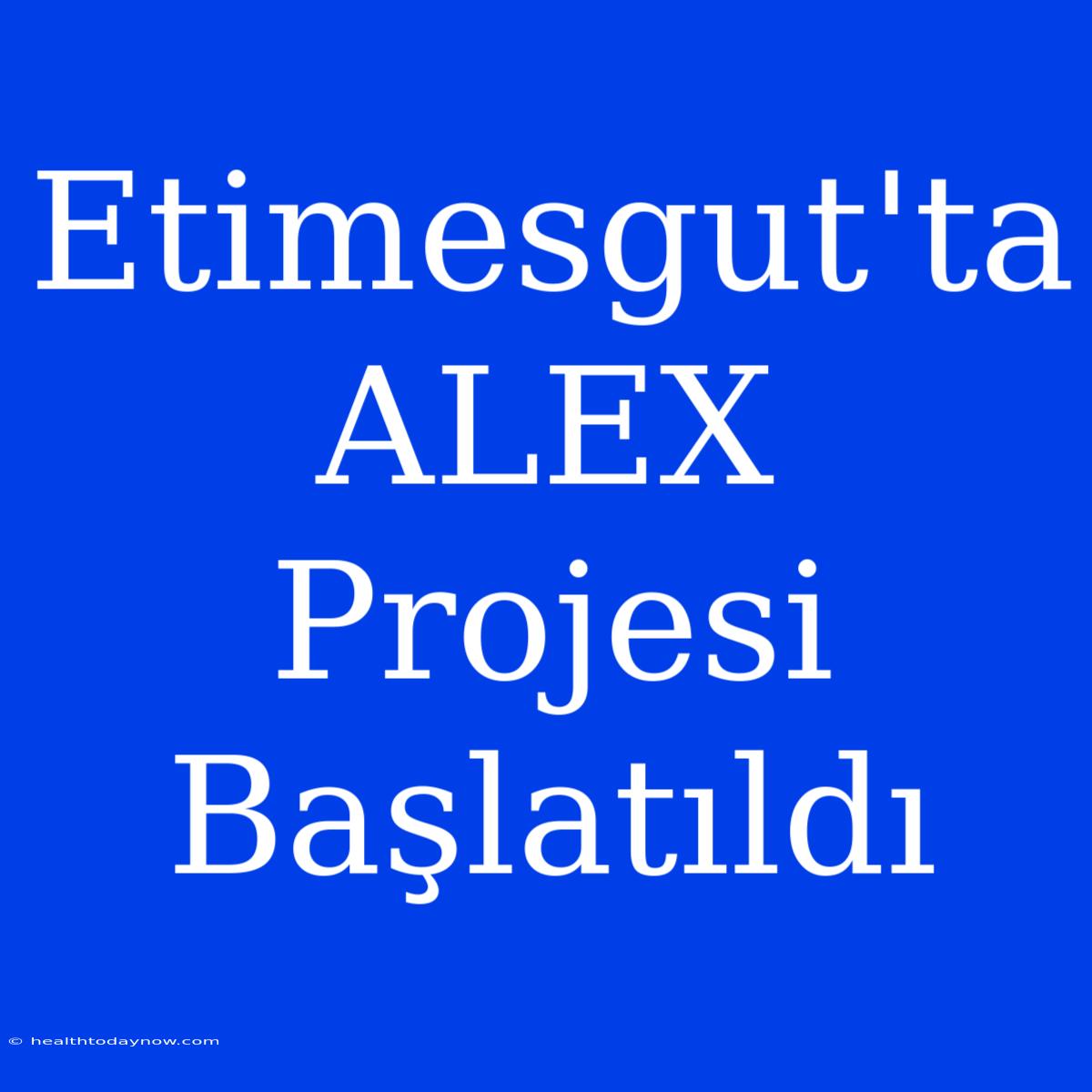 Etimesgut'ta ALEX Projesi Başlatıldı