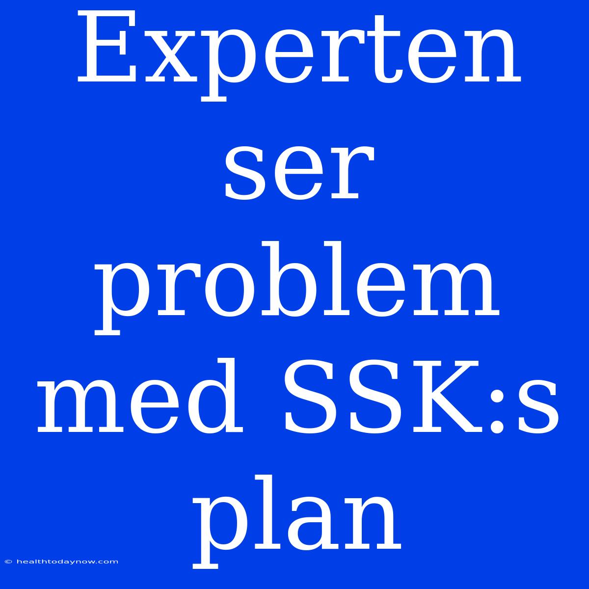 Experten Ser Problem Med SSK:s Plan