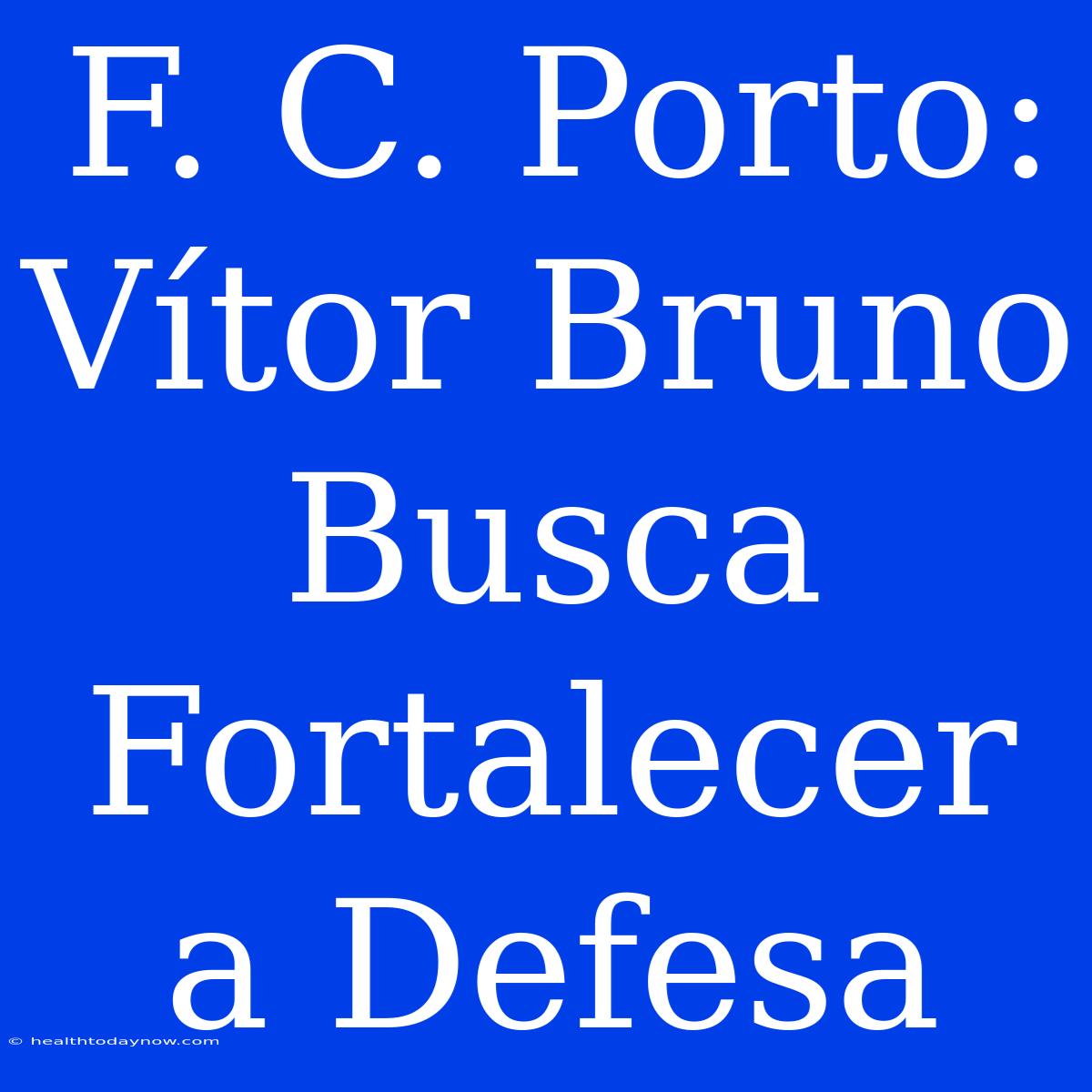 F. C. Porto: Vítor Bruno Busca Fortalecer A Defesa