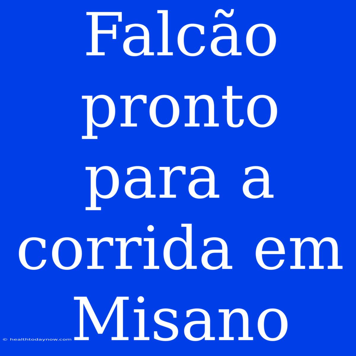 Falcão Pronto Para A Corrida Em Misano