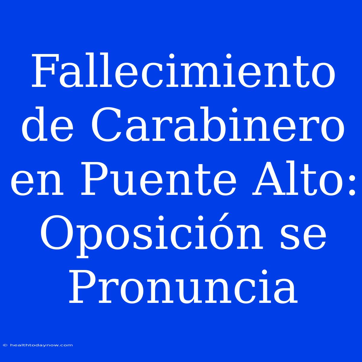 Fallecimiento De Carabinero En Puente Alto: Oposición Se Pronuncia