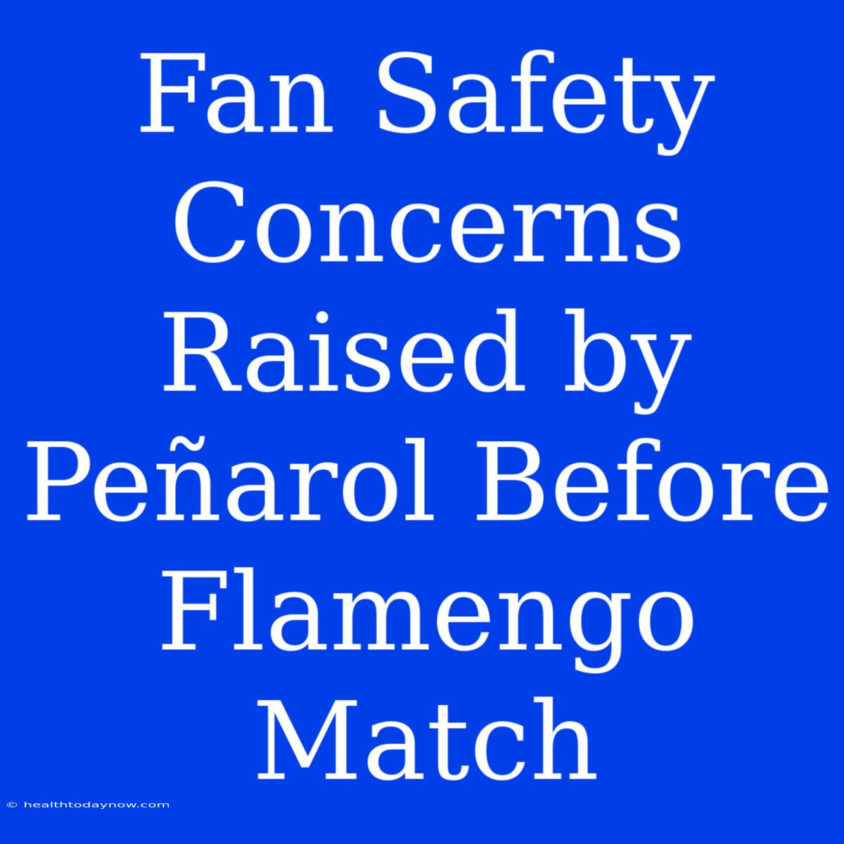 Fan Safety Concerns Raised By Peñarol Before Flamengo Match