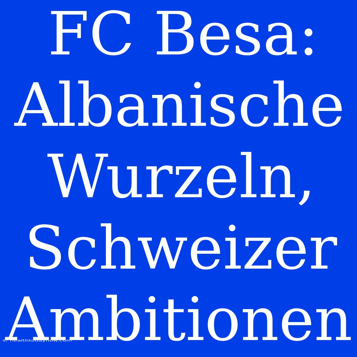 FC Besa: Albanische Wurzeln, Schweizer Ambitionen