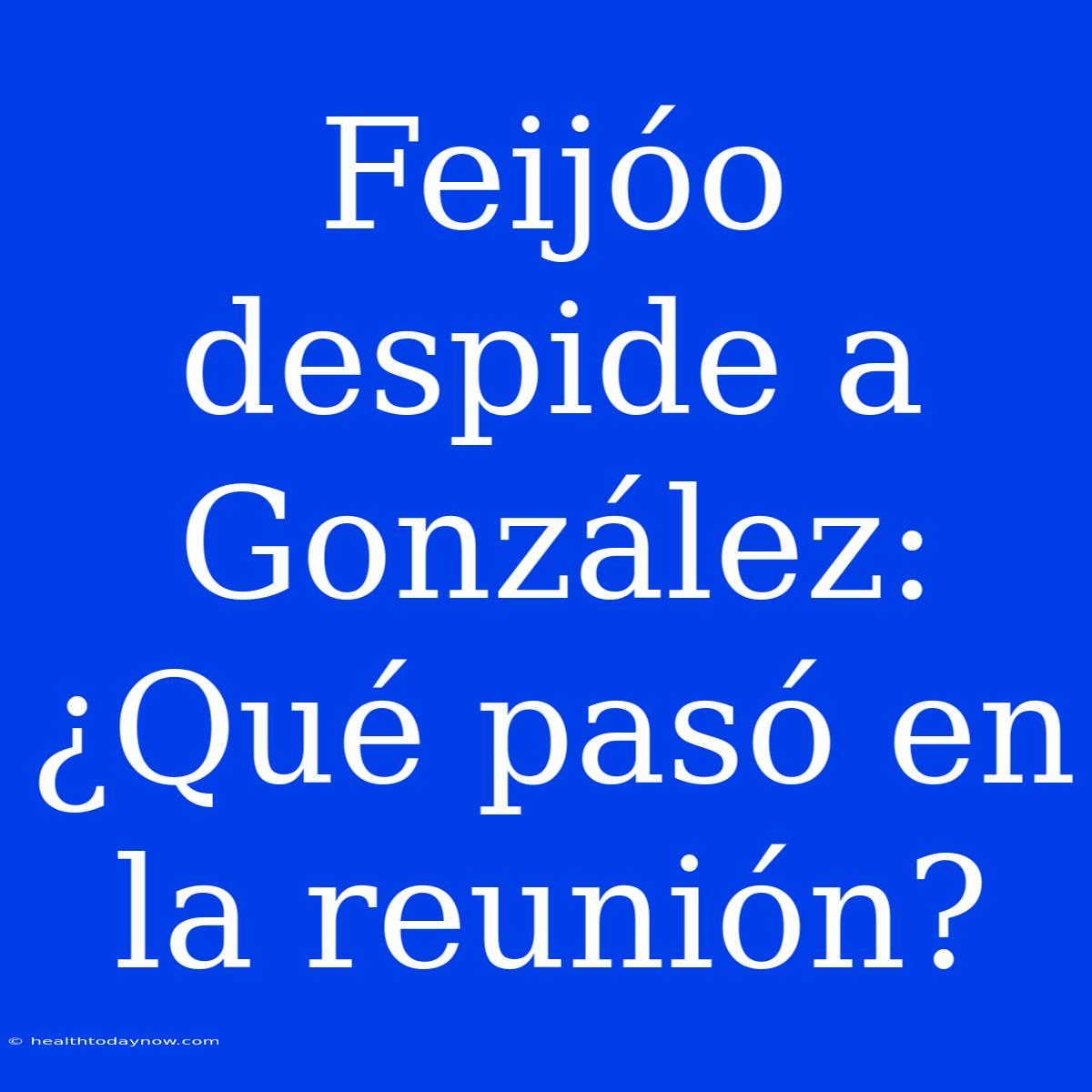 Feijóo Despide A González: ¿Qué Pasó En La Reunión? 