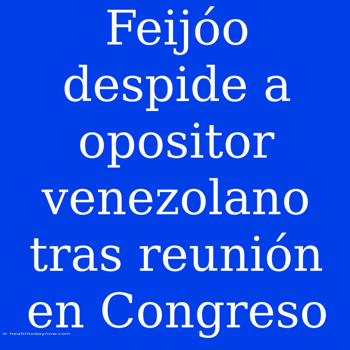 Feijóo Despide A Opositor Venezolano Tras Reunión En Congreso