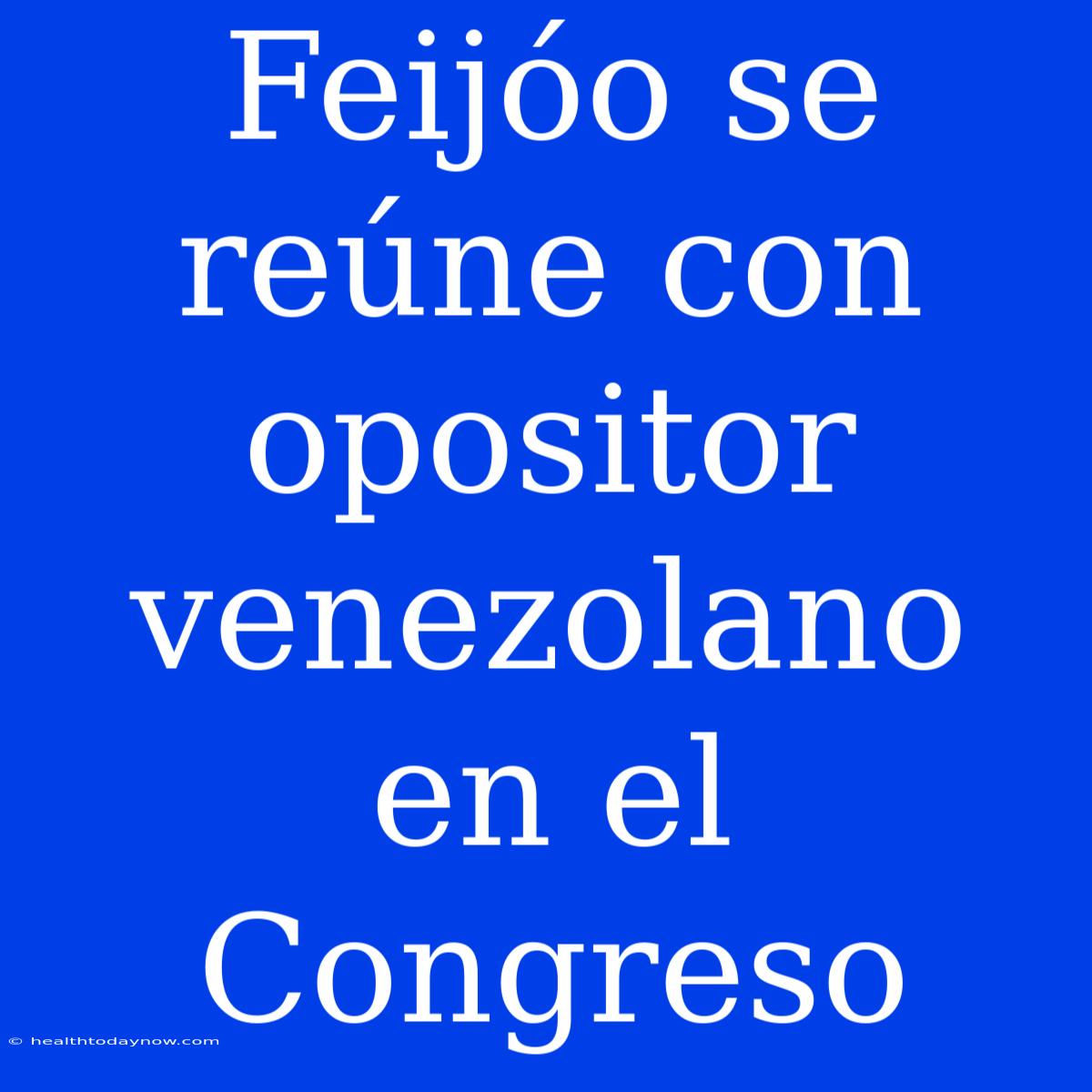 Feijóo Se Reúne Con Opositor Venezolano En El Congreso