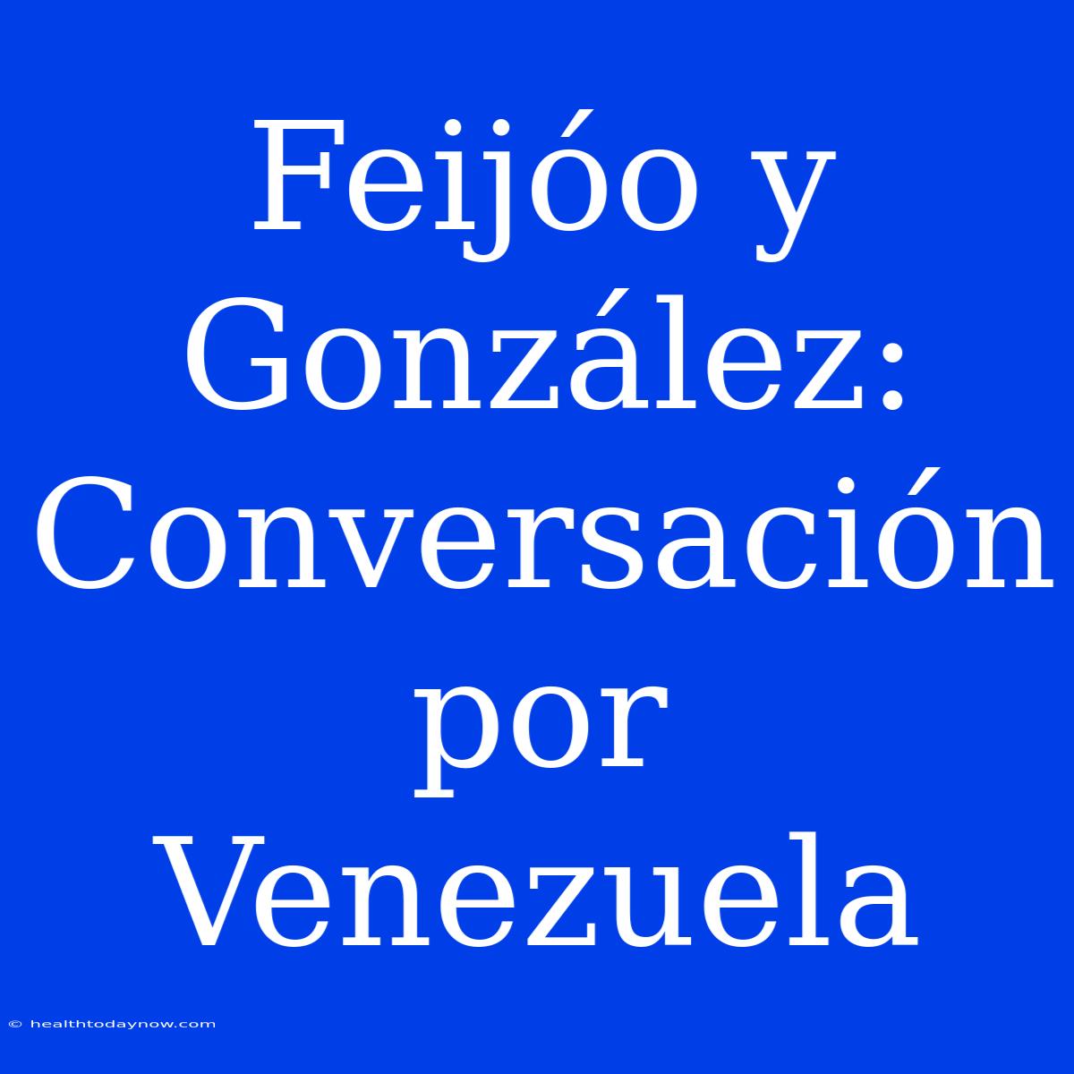 Feijóo Y González: Conversación Por Venezuela