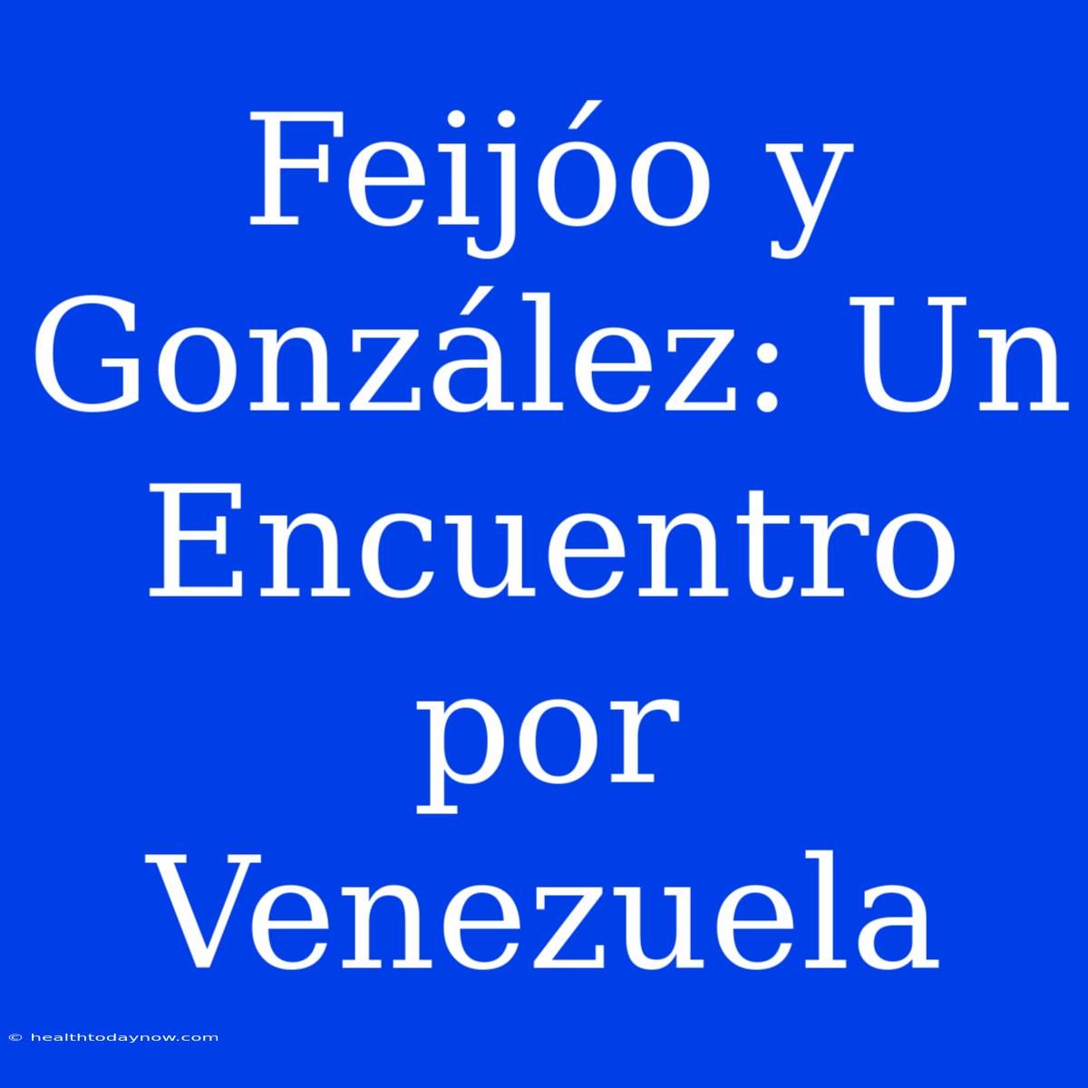 Feijóo Y González: Un Encuentro Por Venezuela