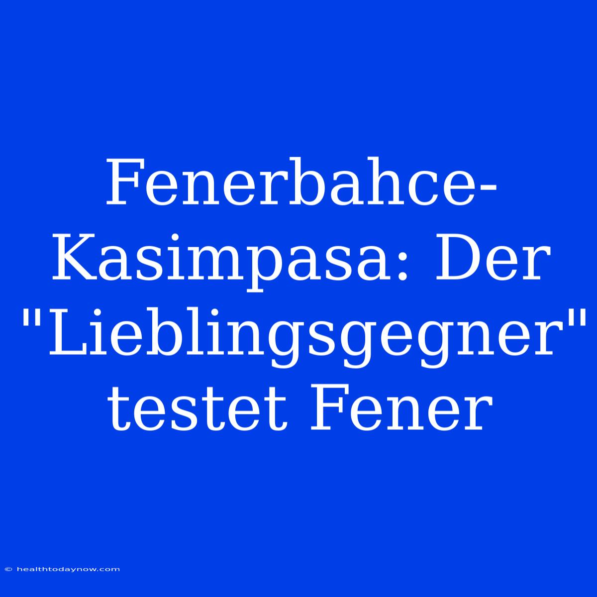 Fenerbahce-Kasimpasa: Der 