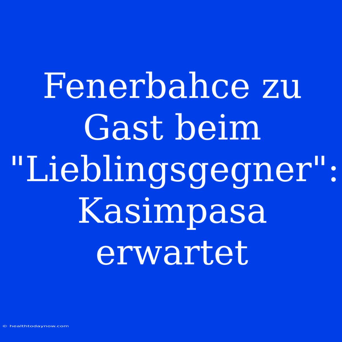 Fenerbahce Zu Gast Beim 