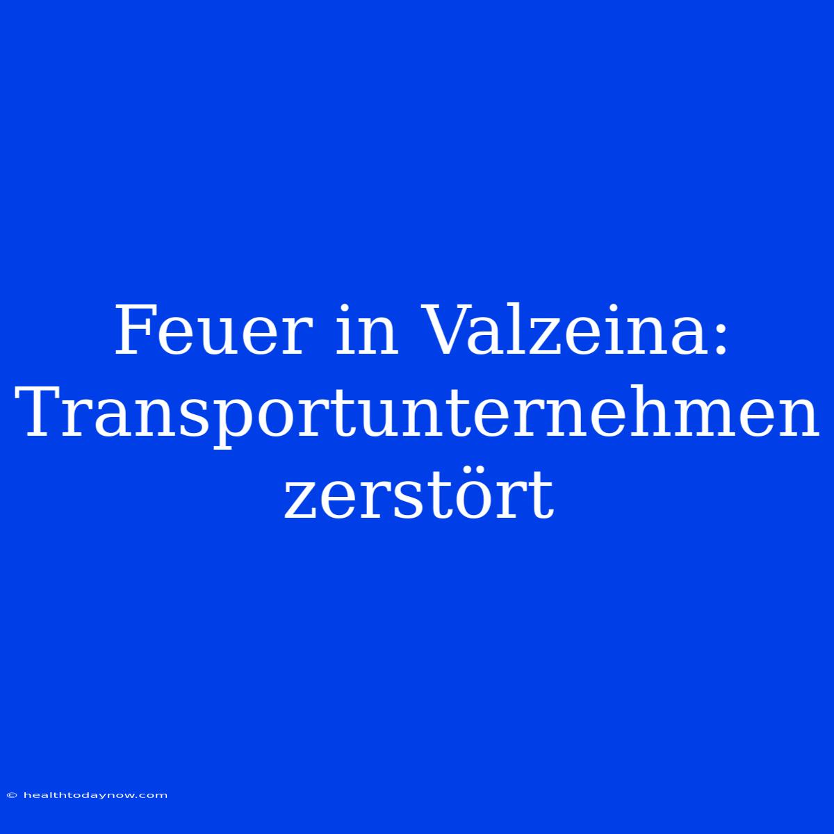 Feuer In Valzeina: Transportunternehmen Zerstört