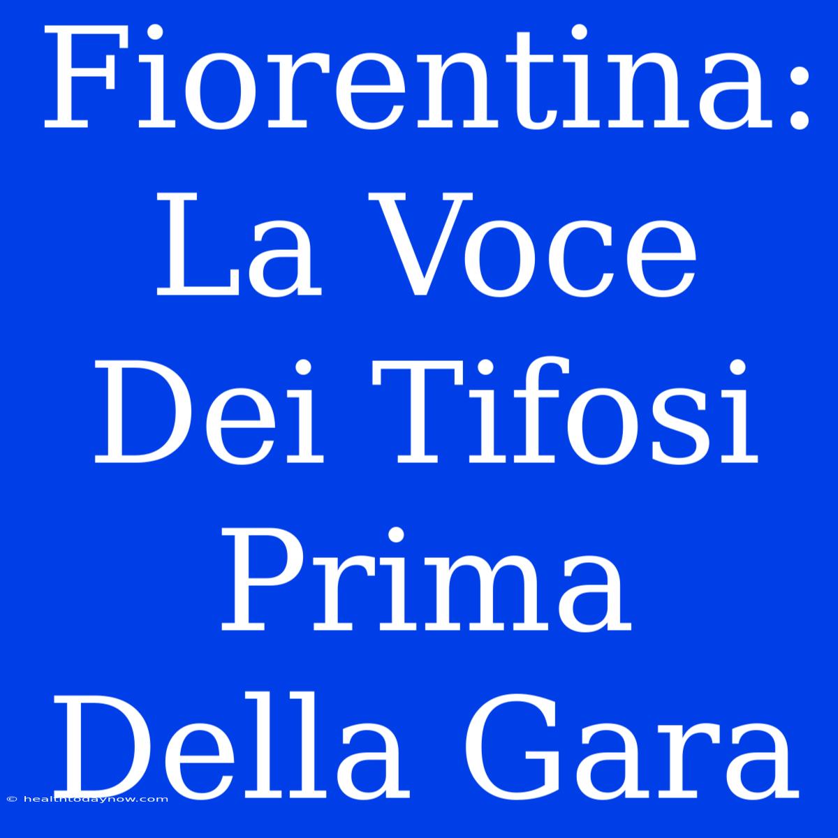 Fiorentina: La Voce Dei Tifosi Prima Della Gara 