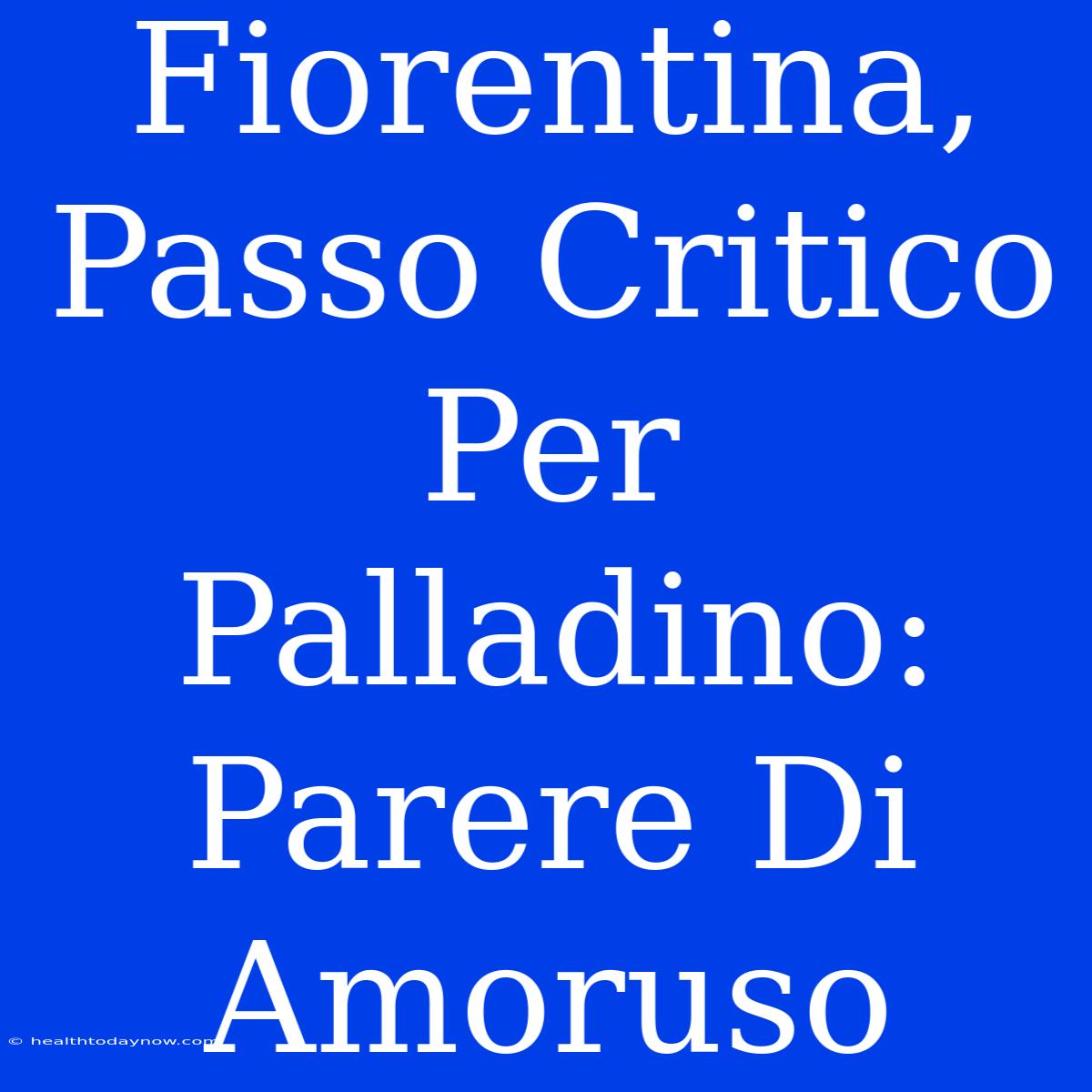 Fiorentina, Passo Critico Per Palladino: Parere Di Amoruso