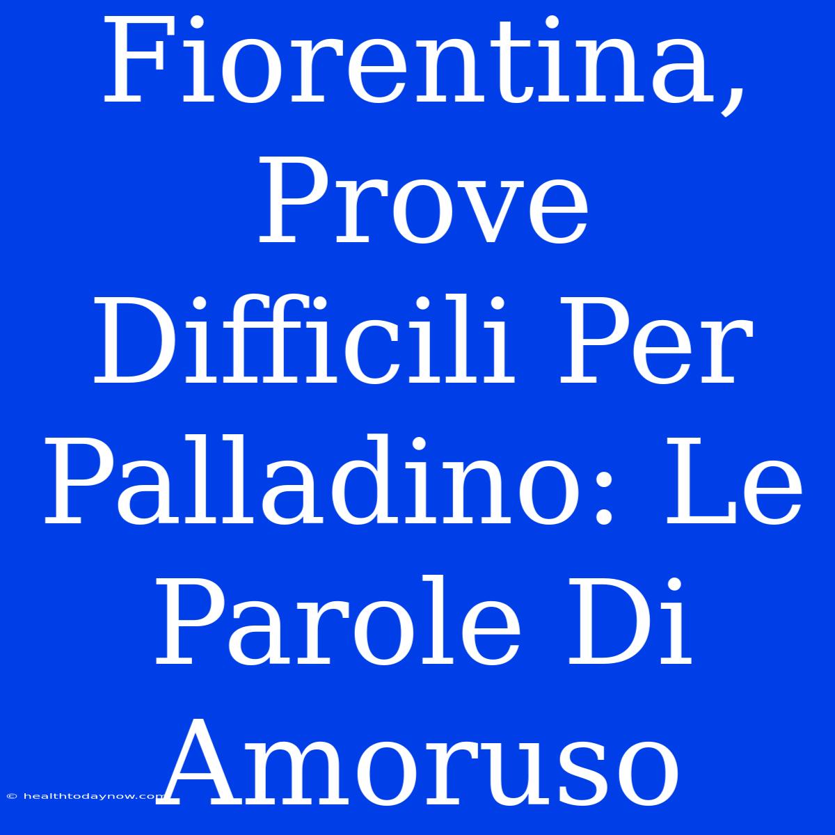 Fiorentina, Prove Difficili Per Palladino: Le Parole Di Amoruso 