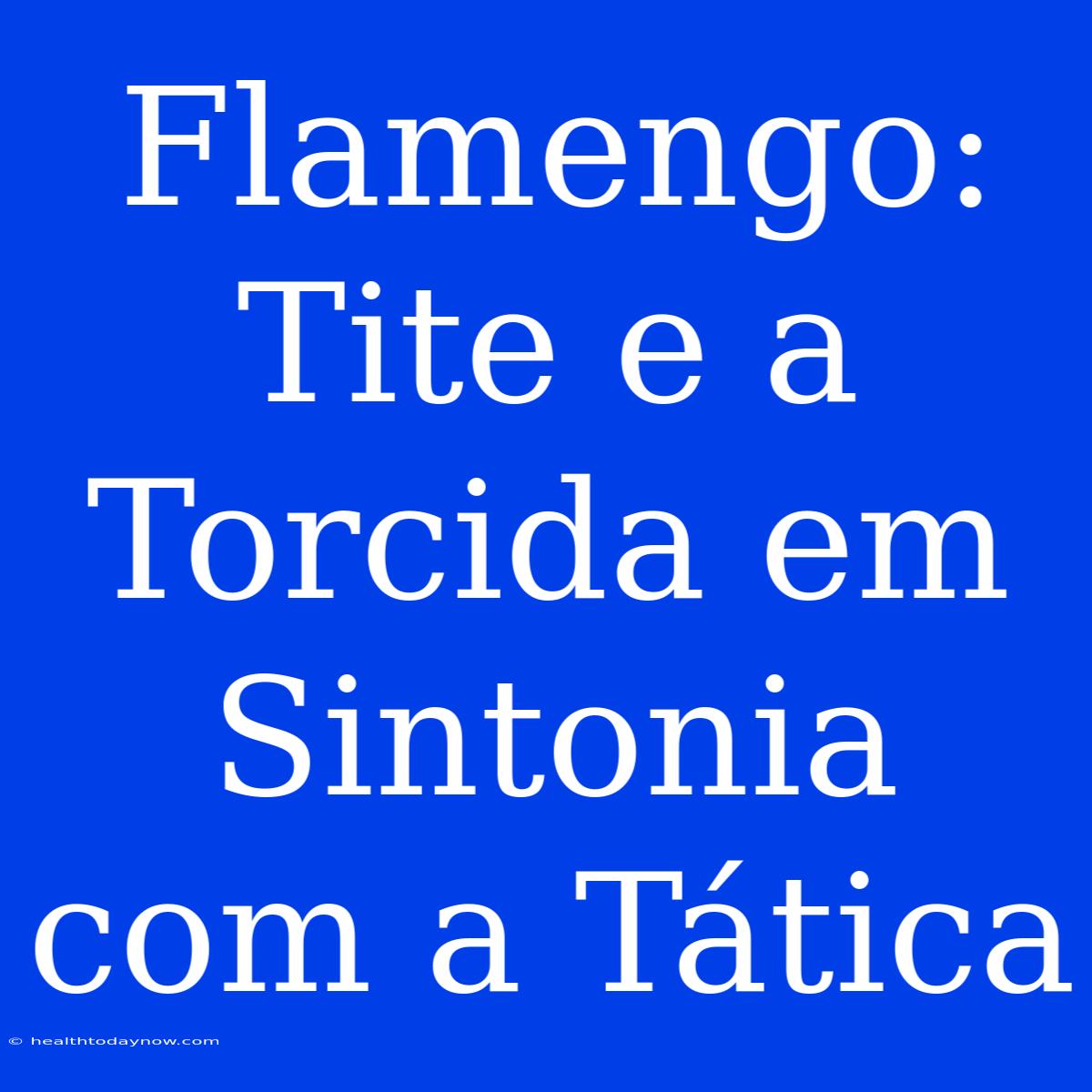 Flamengo: Tite E A Torcida Em Sintonia Com A Tática 