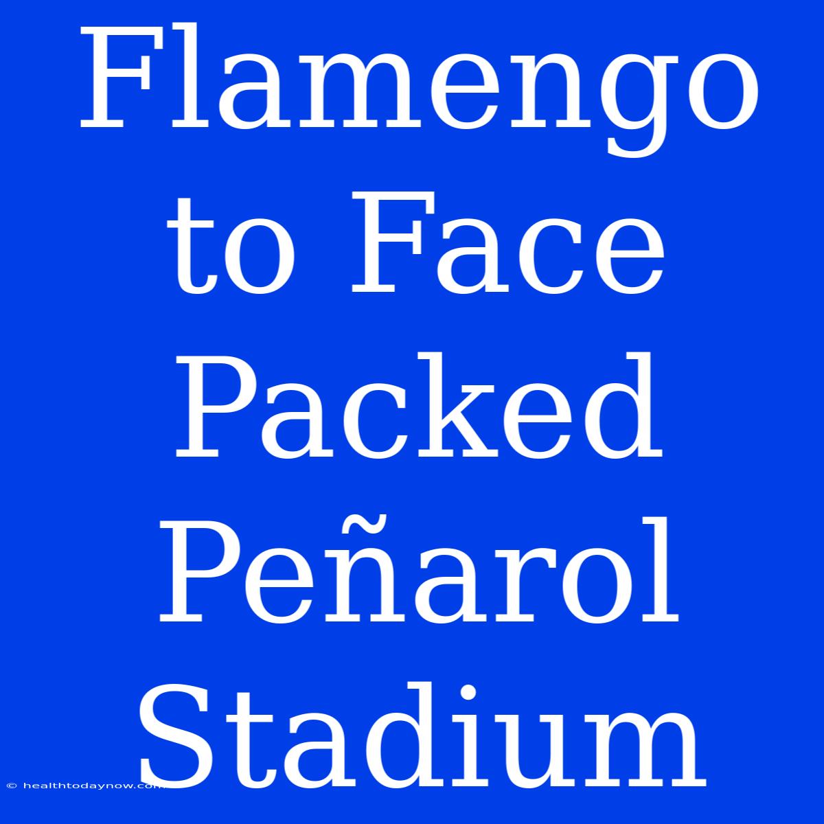 Flamengo To Face Packed Peñarol Stadium