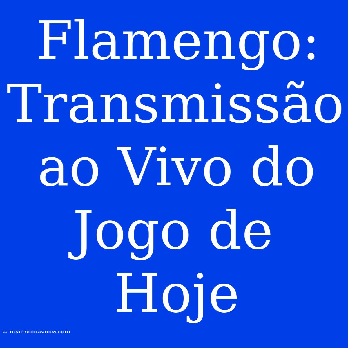 Flamengo: Transmissão Ao Vivo Do Jogo De Hoje