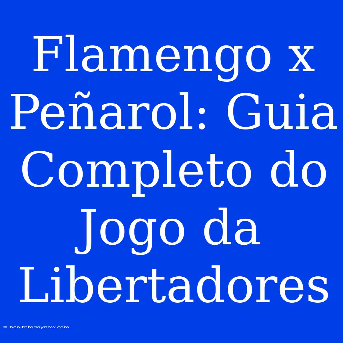 Flamengo X Peñarol: Guia Completo Do Jogo Da Libertadores