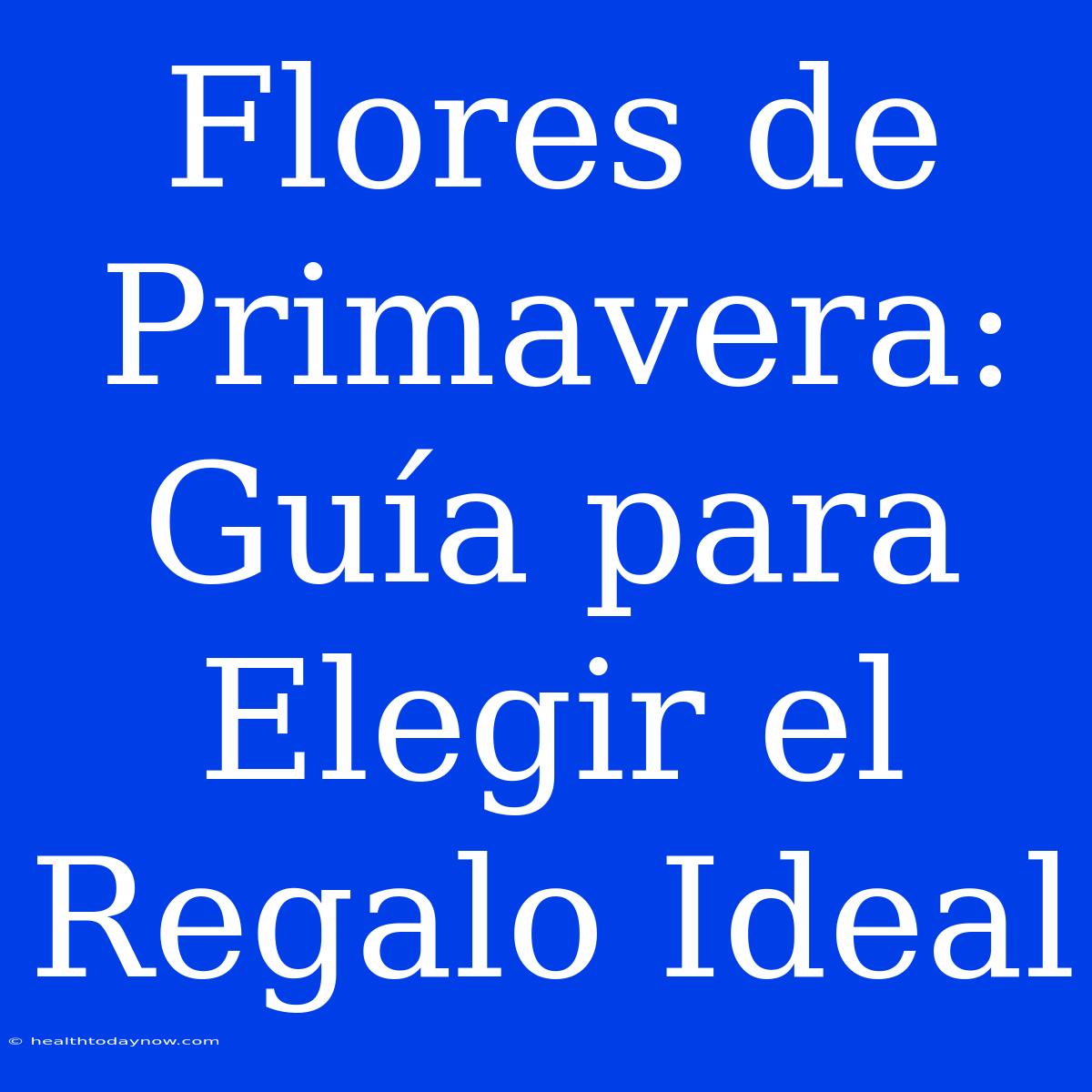 Flores De Primavera: Guía Para Elegir El Regalo Ideal