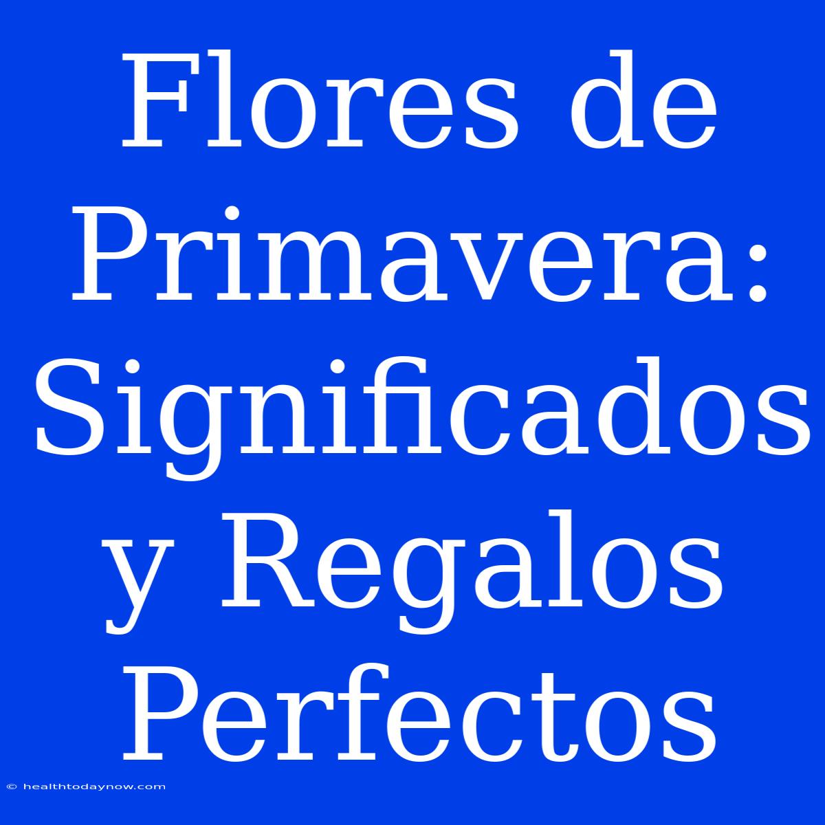 Flores De Primavera: Significados Y Regalos Perfectos