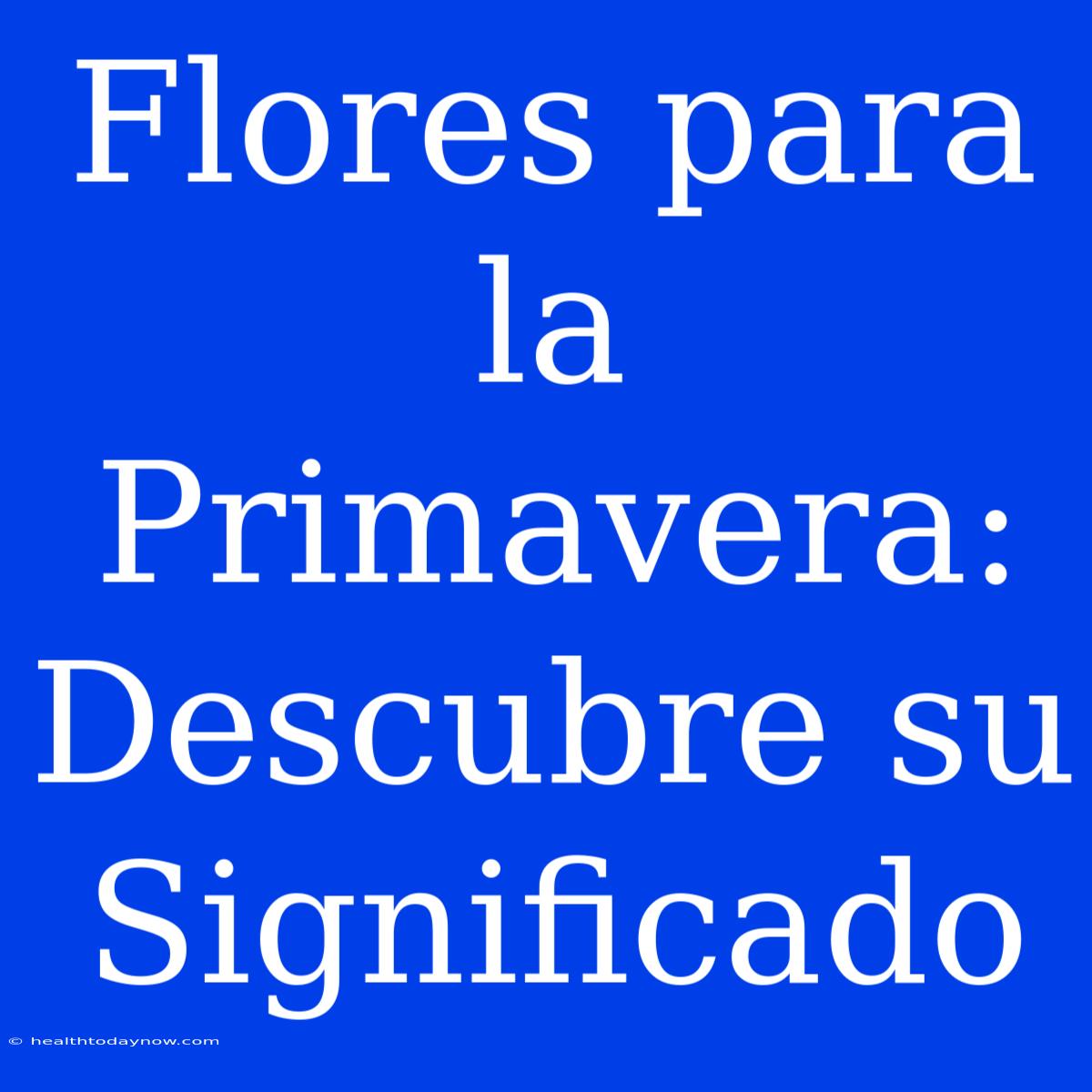 Flores Para La Primavera: Descubre Su Significado