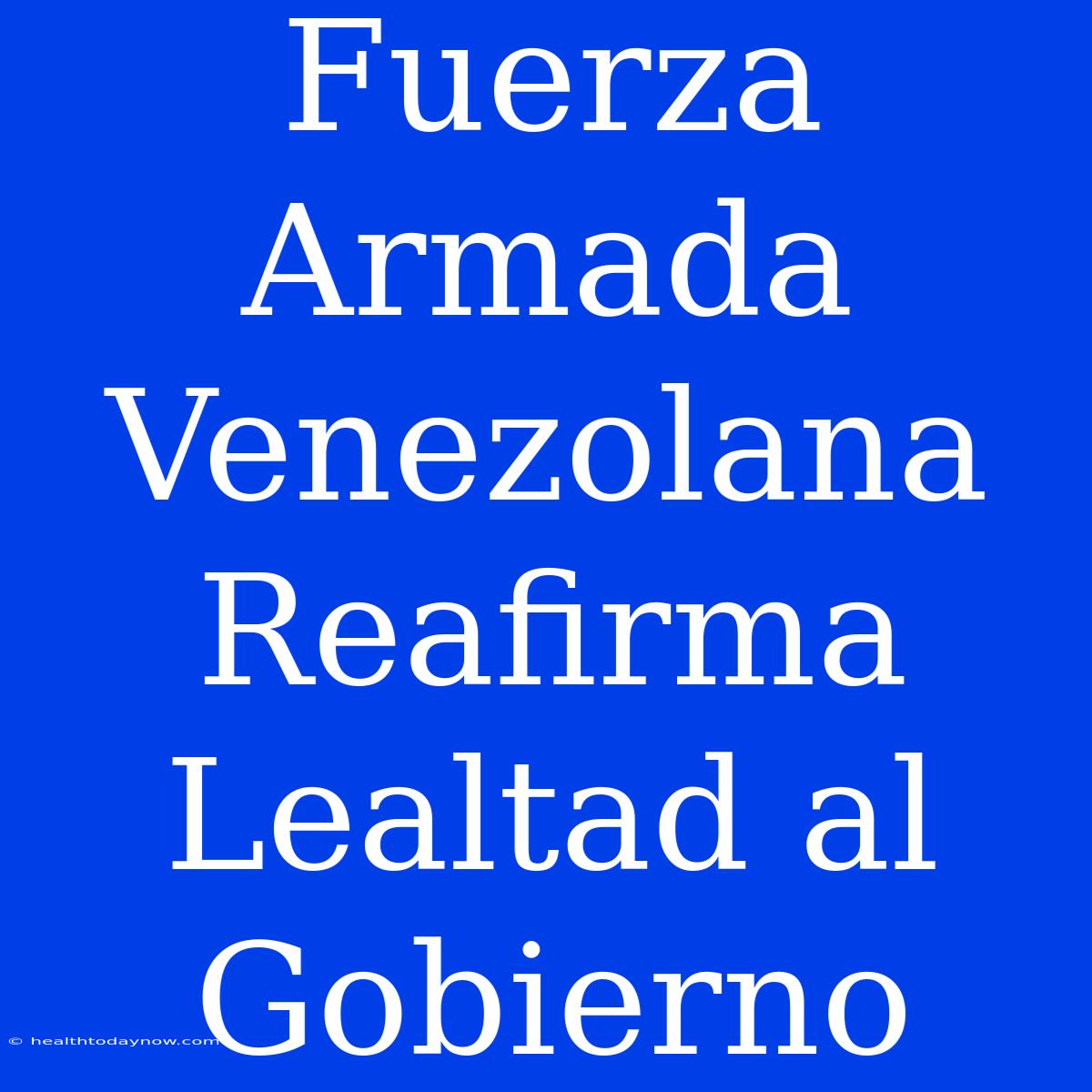 Fuerza Armada Venezolana Reafirma Lealtad Al Gobierno