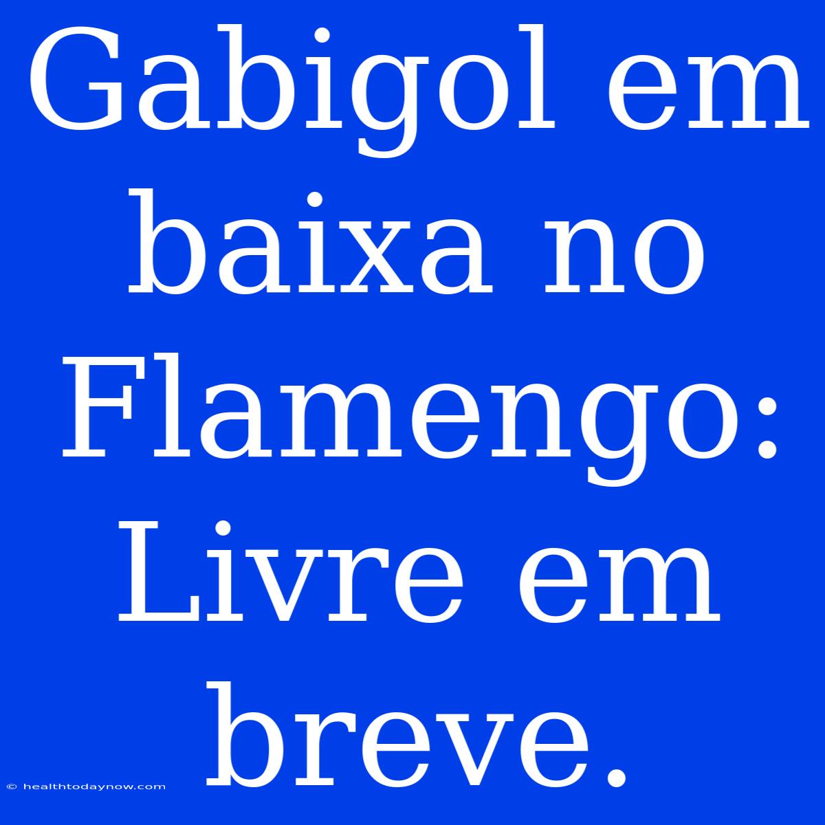 Gabigol Em Baixa No Flamengo: Livre Em Breve.