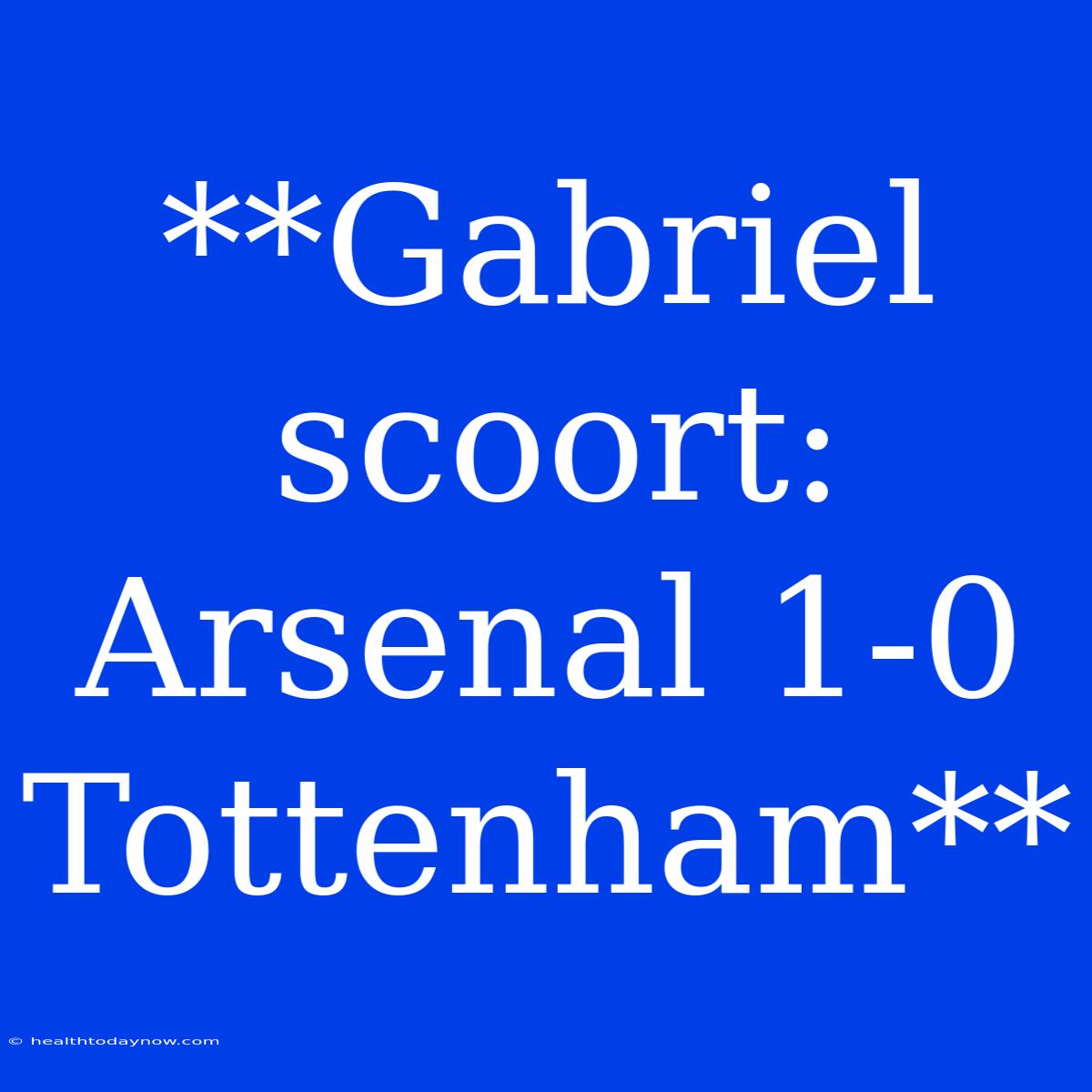 **Gabriel Scoort: Arsenal 1-0 Tottenham**