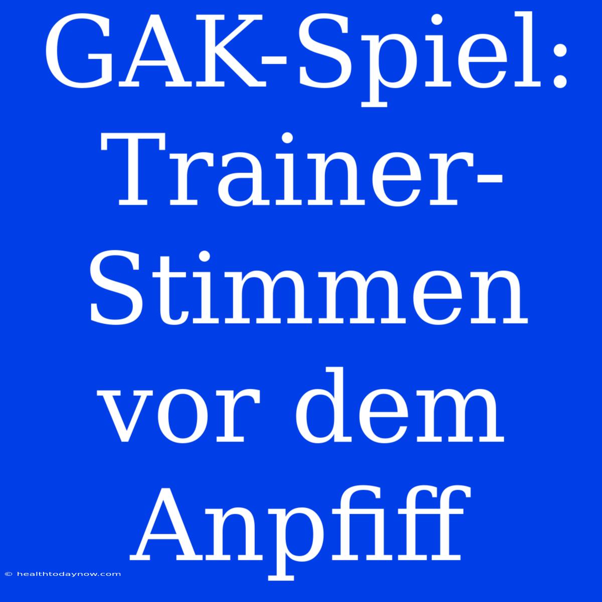 GAK-Spiel: Trainer-Stimmen Vor Dem Anpfiff