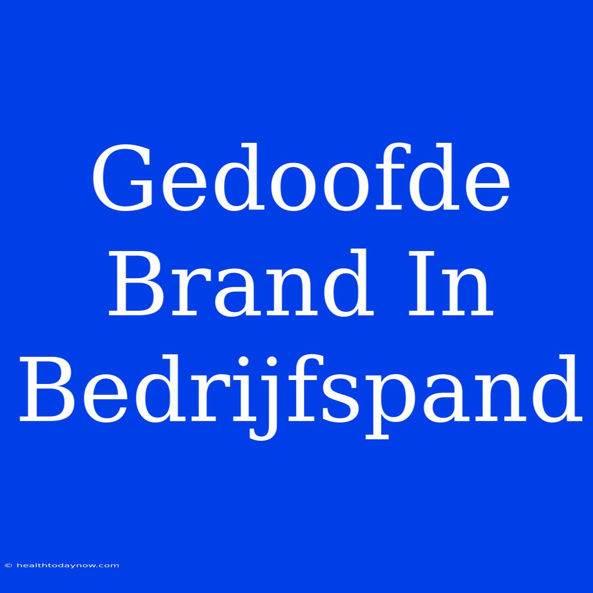 Gedoofde Brand In Bedrijfspand 