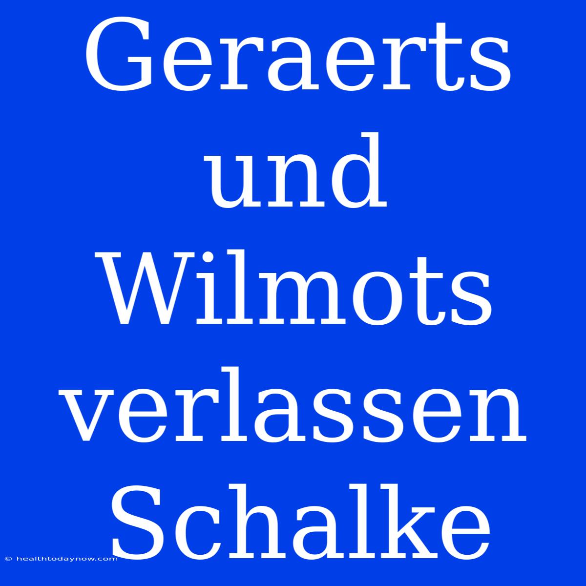 Geraerts Und Wilmots Verlassen Schalke