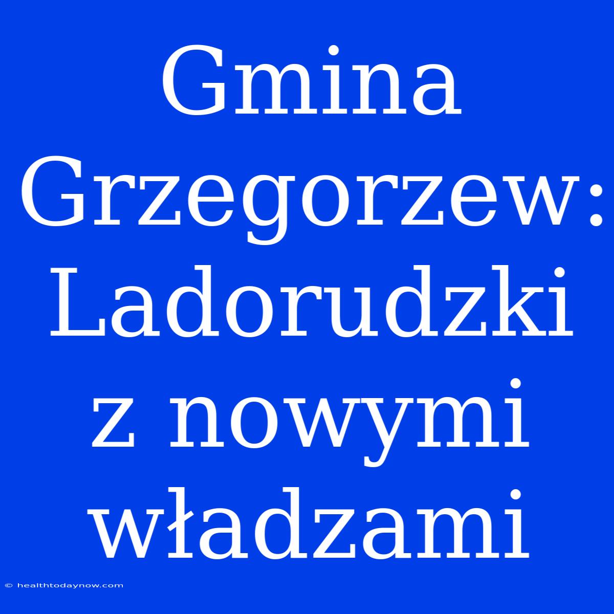 Gmina Grzegorzew: Ladorudzki Z Nowymi Władzami