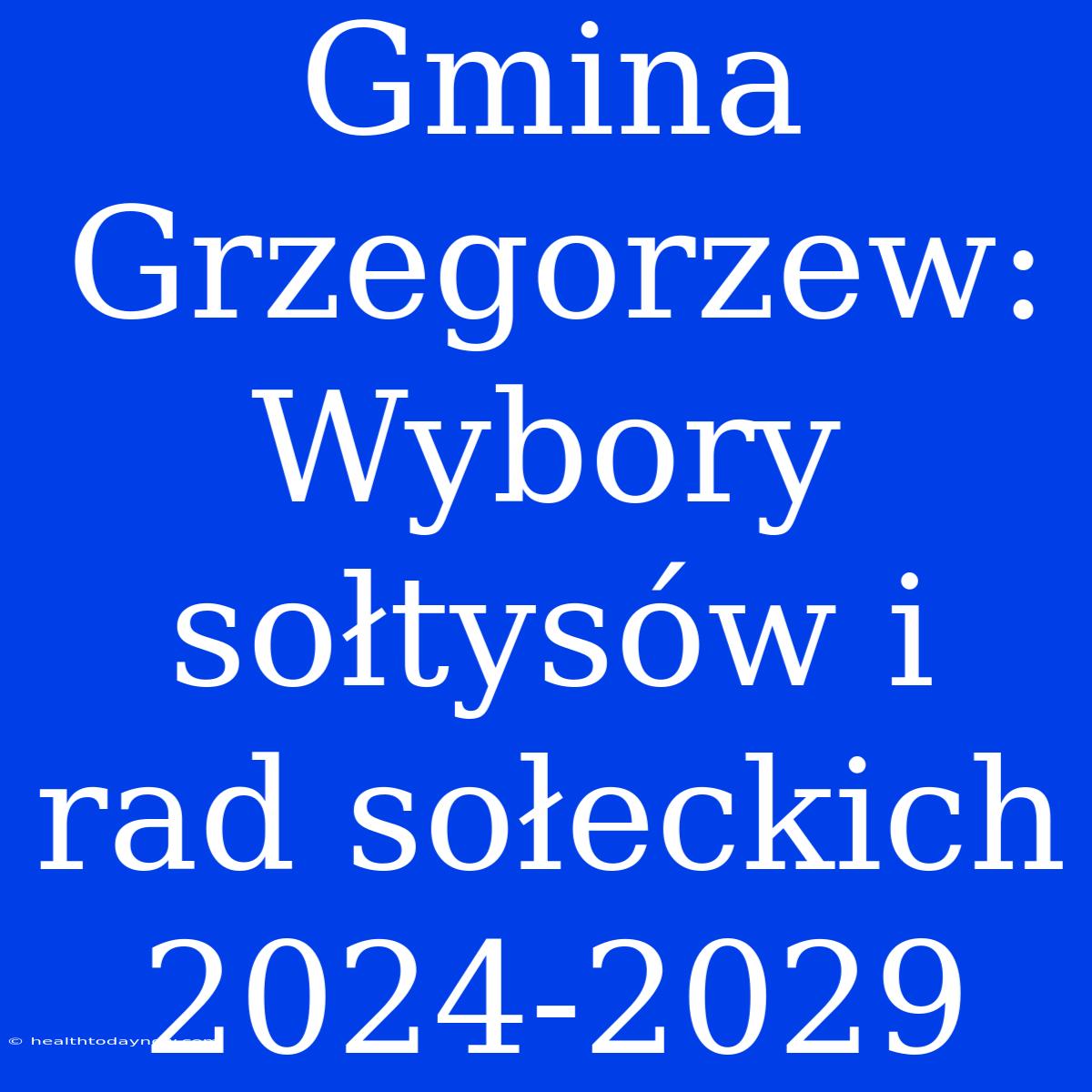 Gmina Grzegorzew: Wybory Sołtysów I Rad Sołeckich 2024-2029